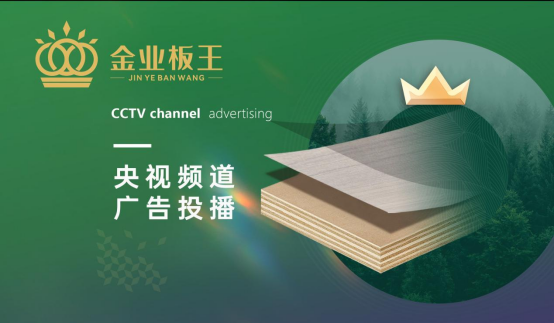 金业板王闪耀央视舞台，彰显品牌卓越实力与魅力