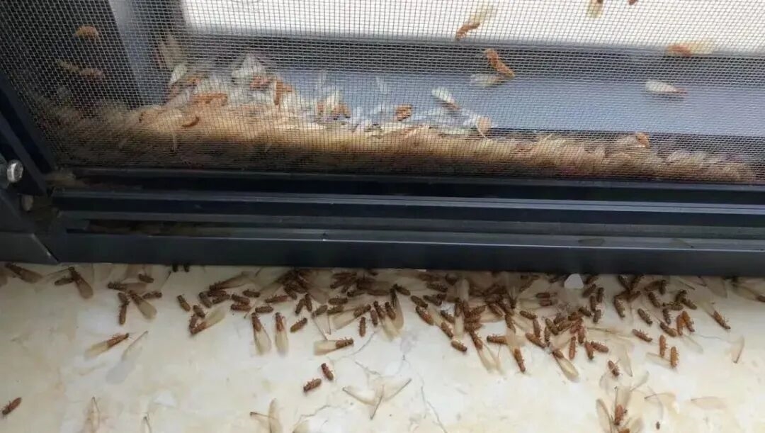 建材网