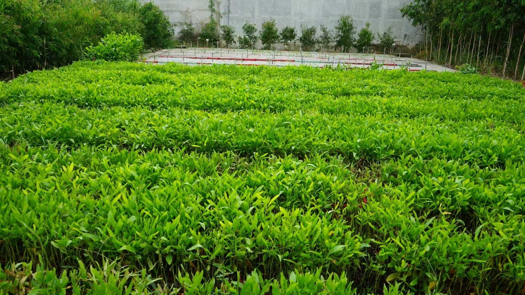 建材网
