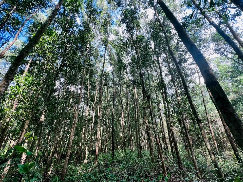 建材网