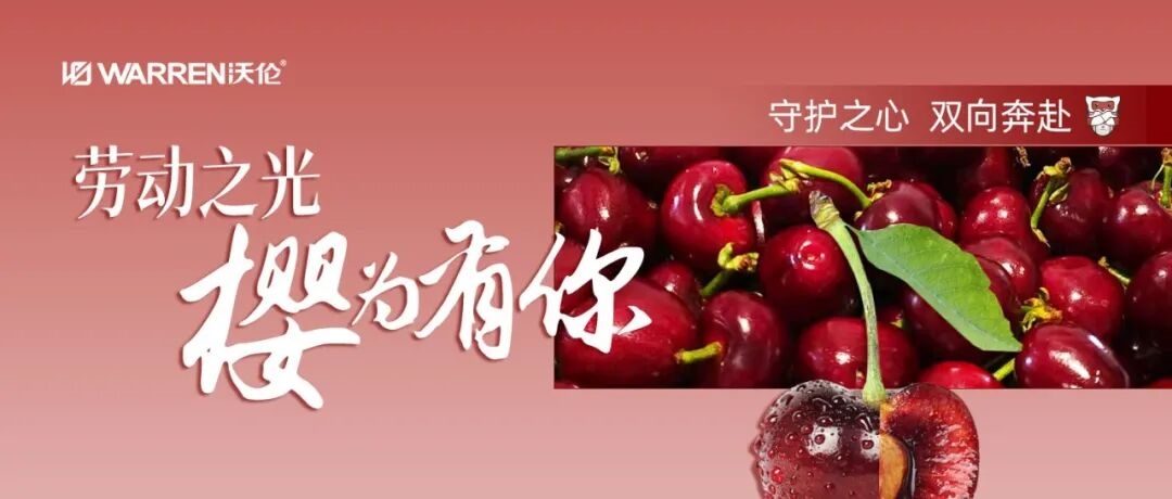 建材网