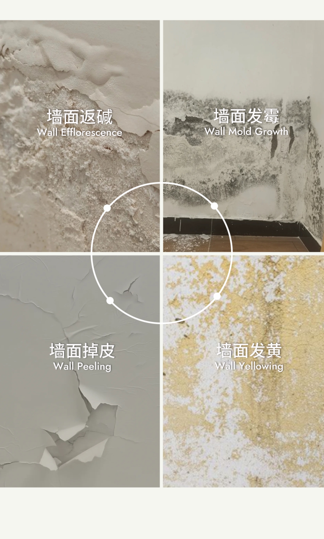 建材网
